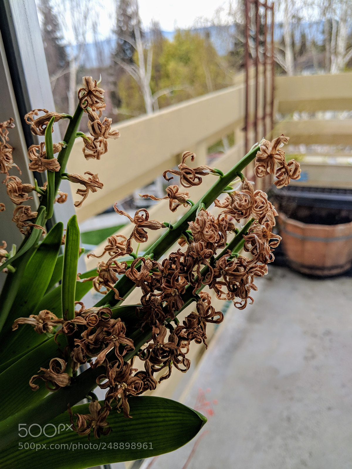 Google Pixel 2 sample photo. Dry & cool photography