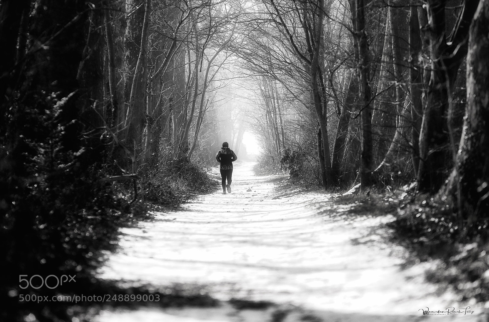 Canon EOS-1D X Mark II sample photo. Snow runner photography
