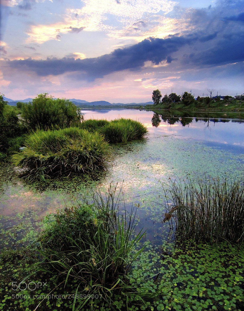 Canon EOS 20D sample photo. Sunset at wetland photography