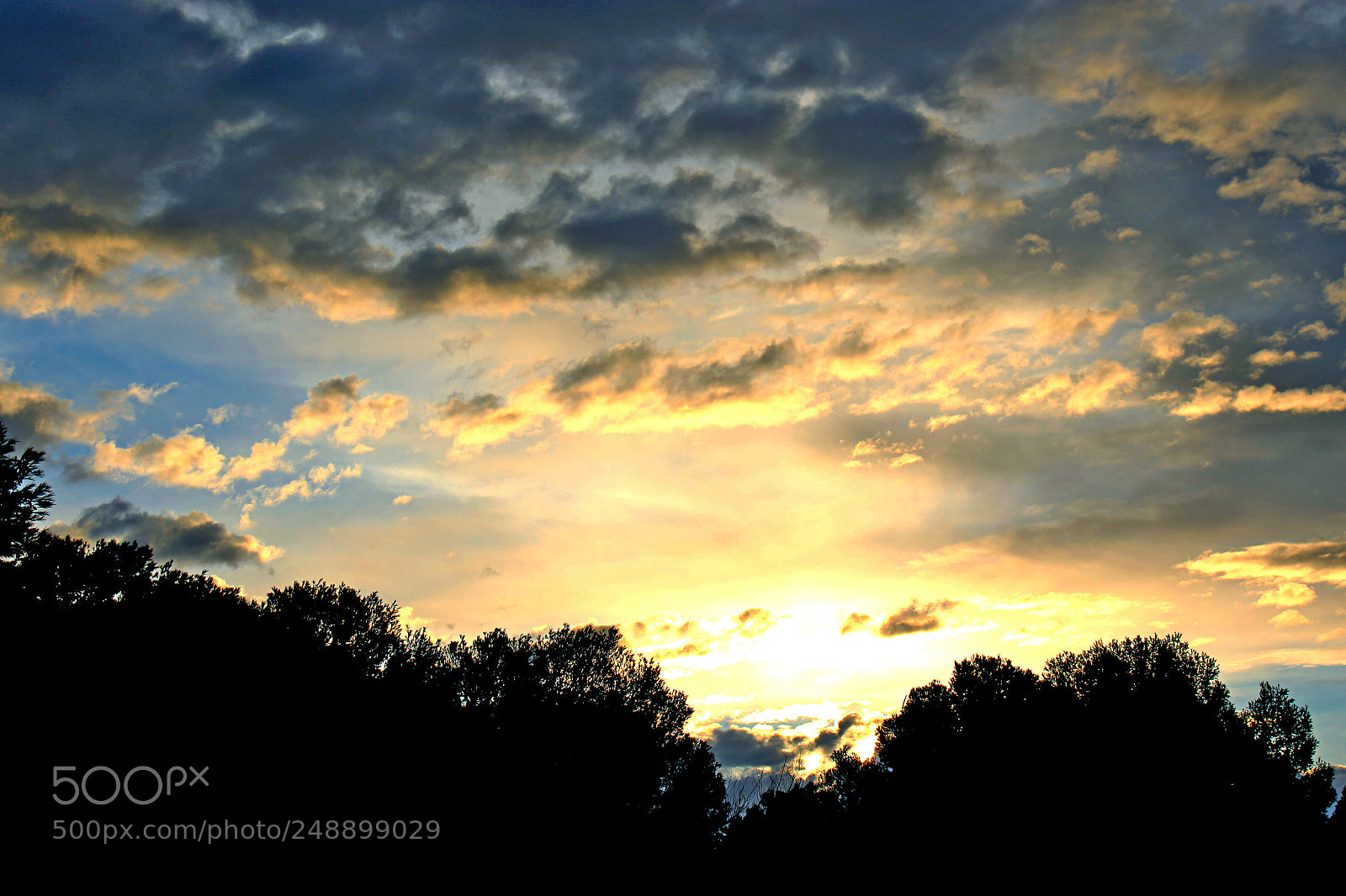 Canon EOS 600D (Rebel EOS T3i / EOS Kiss X5) sample photo. Alba photography
