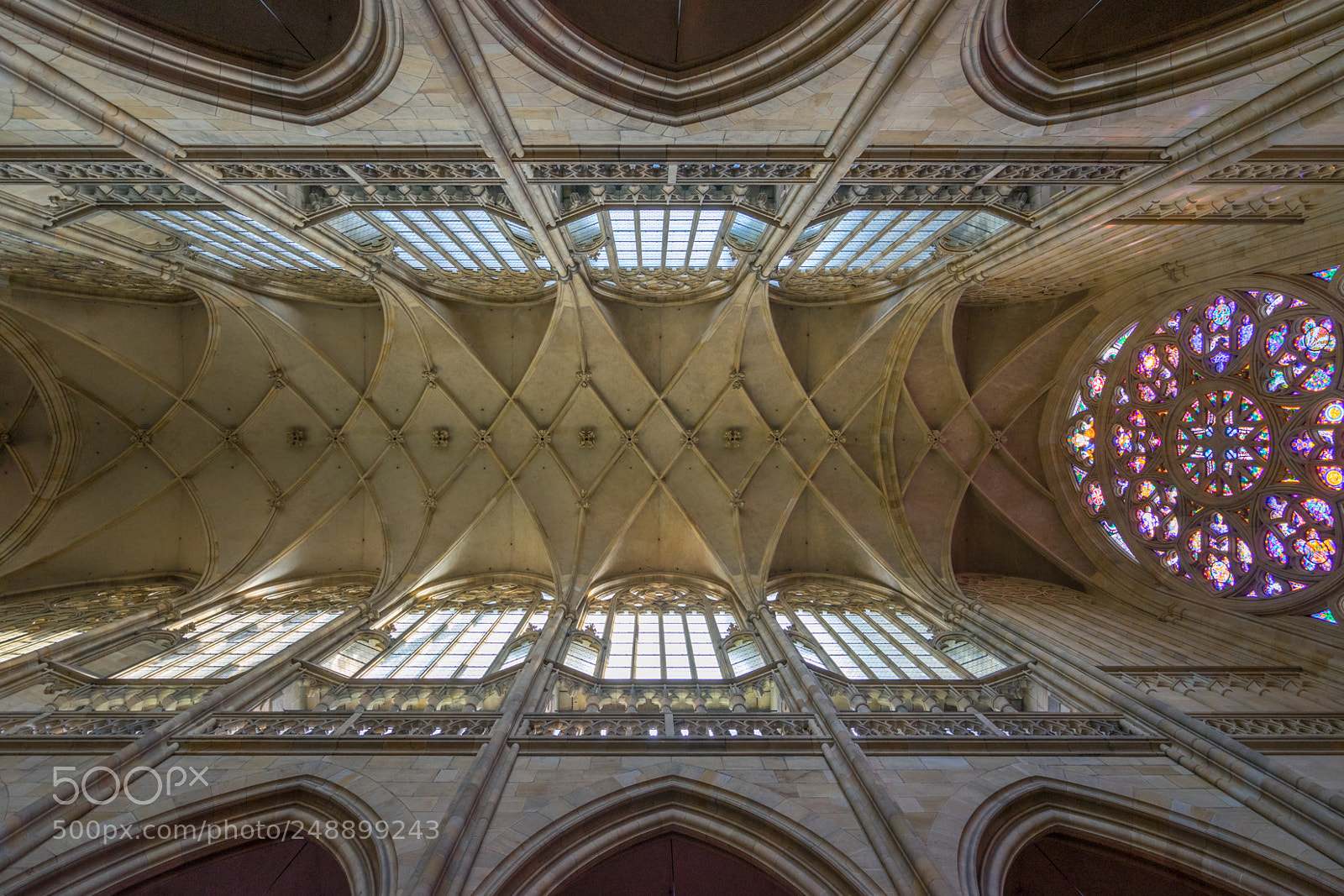 Sony a7 II sample photo. Cathédrale ceilling photography