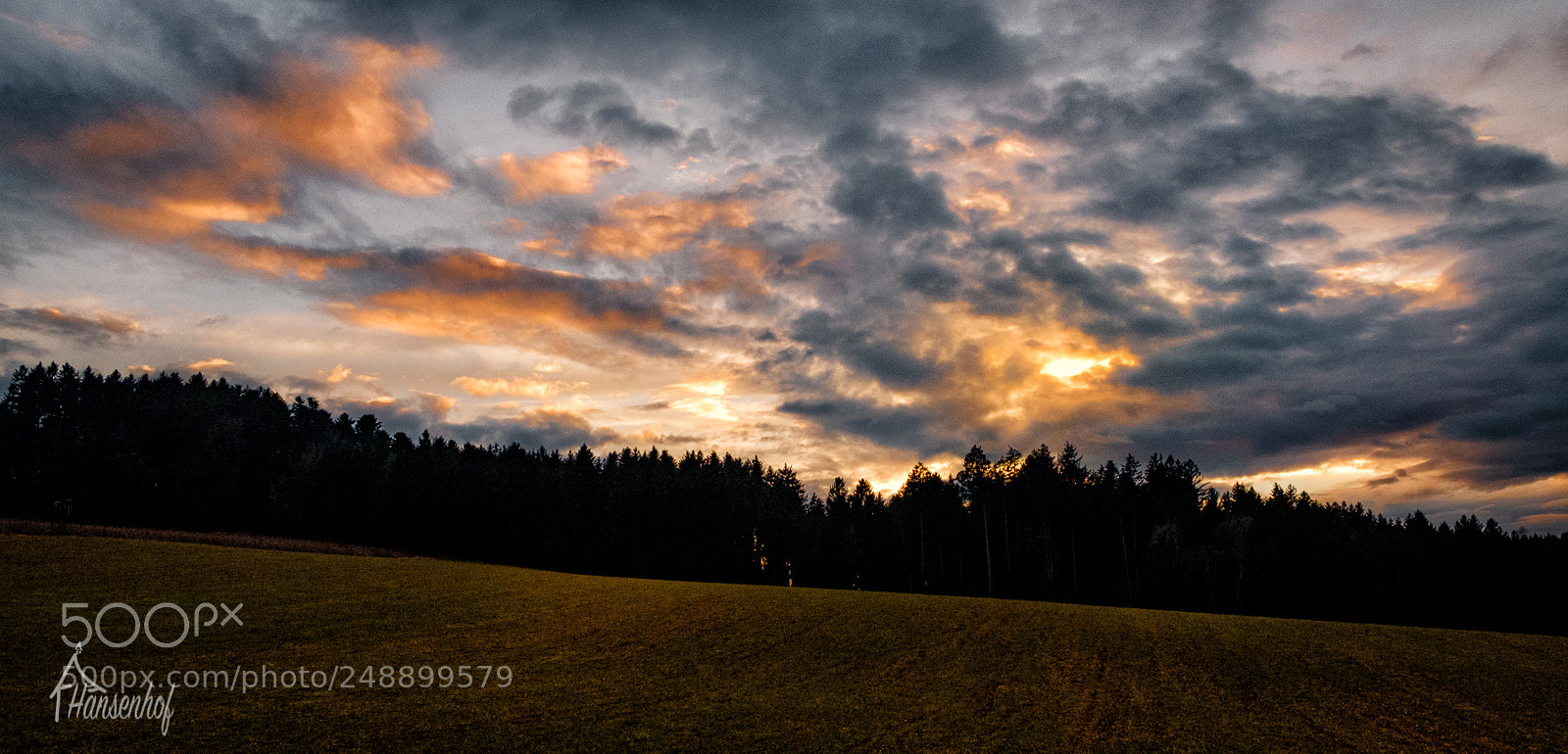 Fujifilm X-T20 sample photo. Frühling im anflug photography