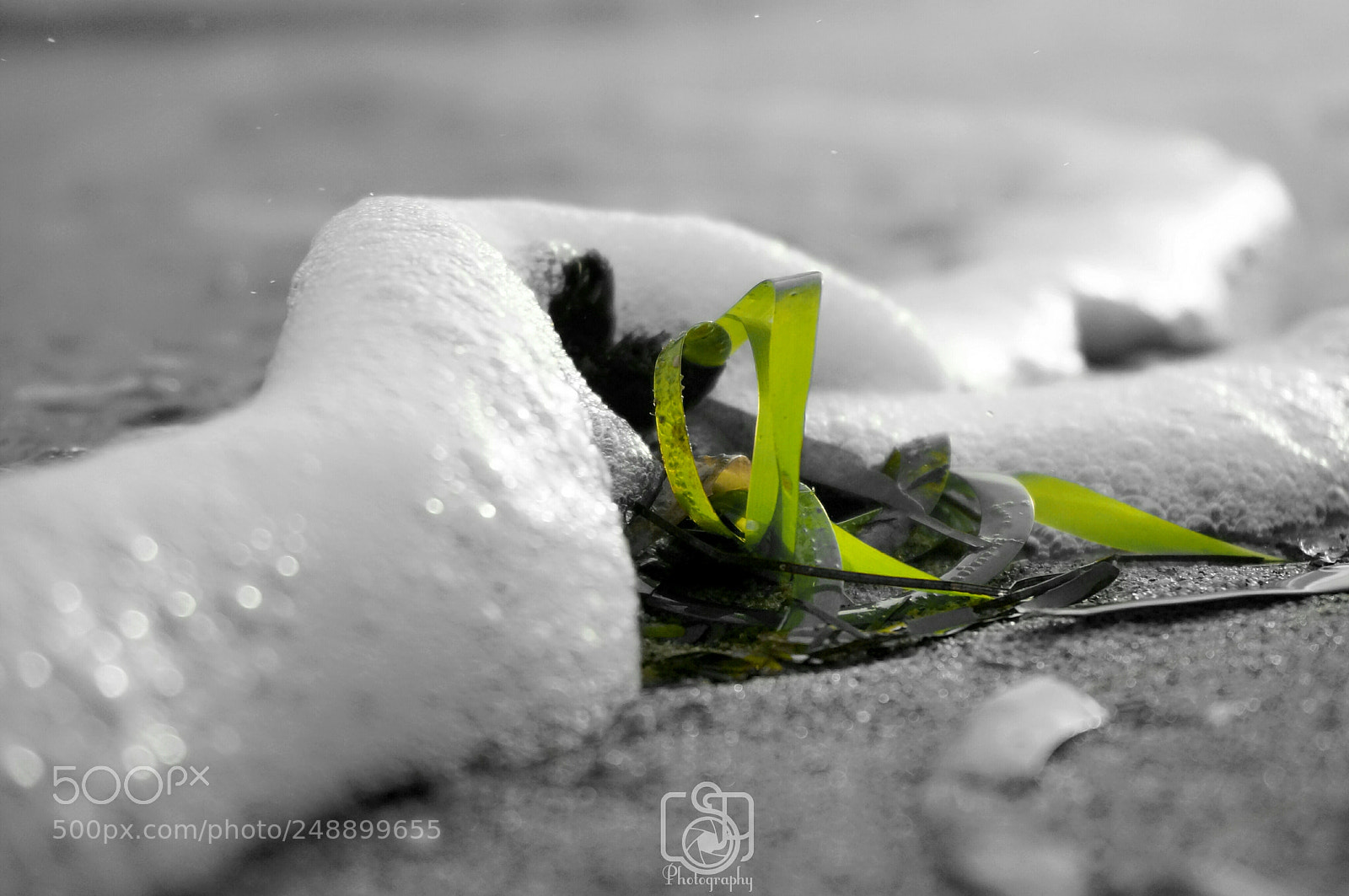 Sony Alpha NEX-5N sample photo. Untitled photography