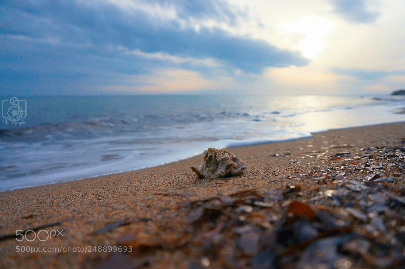 Sony Alpha NEX-5N sample photo. Untitled photography