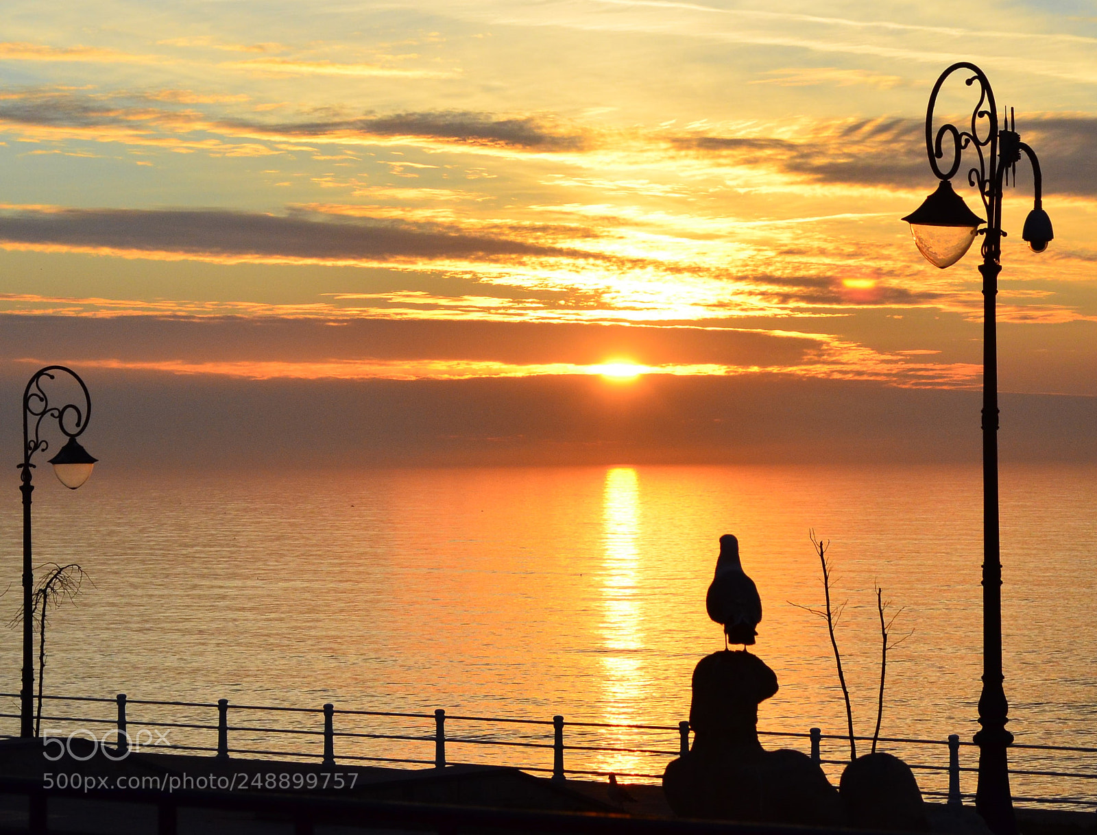 Nikon D5100 sample photo. Sunrise photography