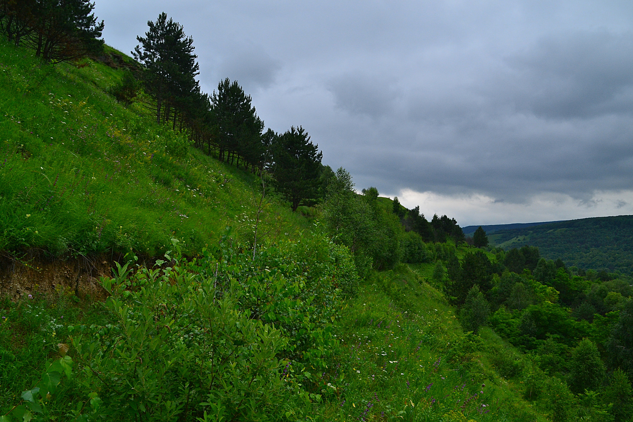 Nikon D3100 sample photo. No step to the right photography