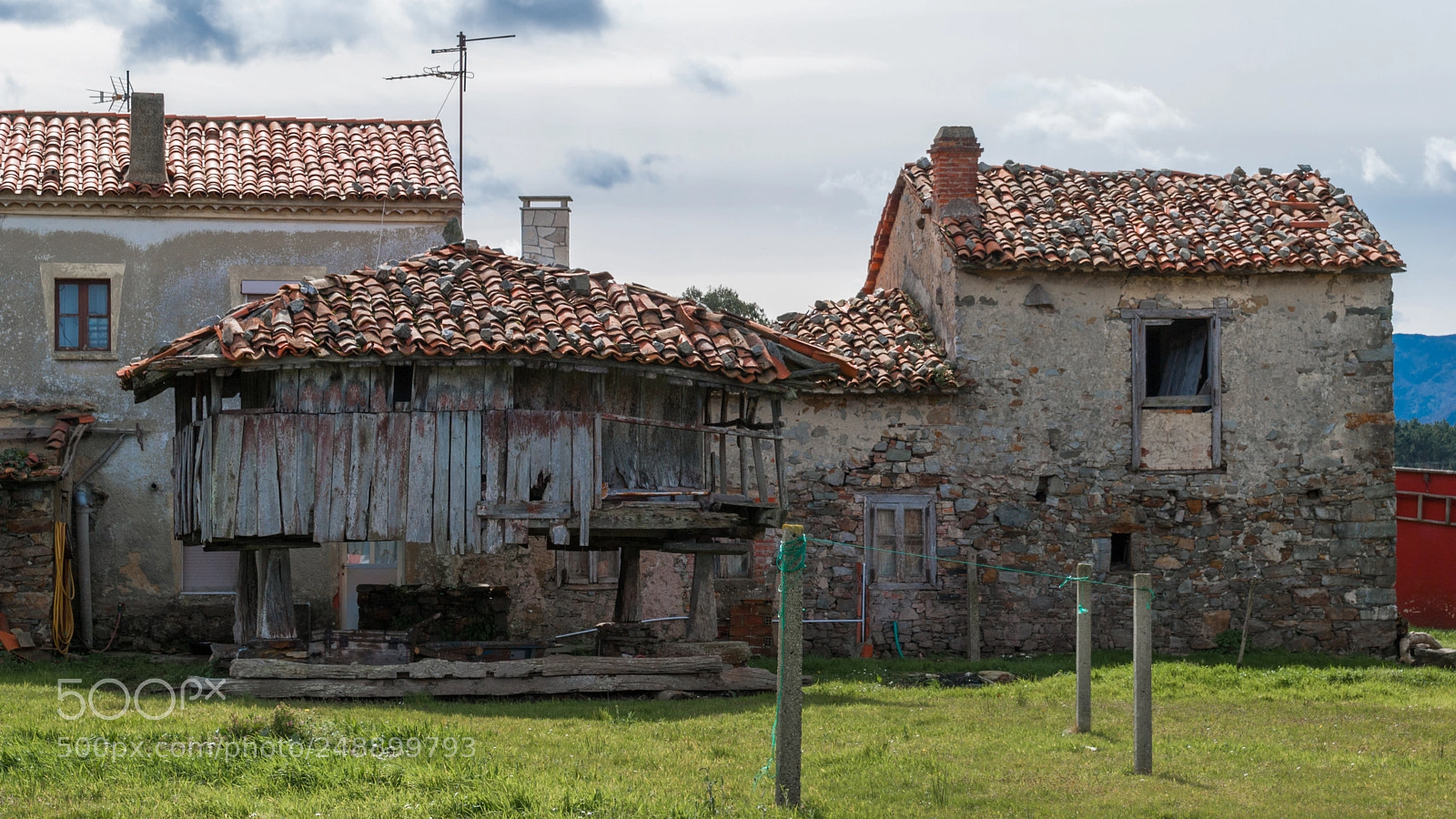 Nikon D3000 sample photo. Panera con prestancia photography