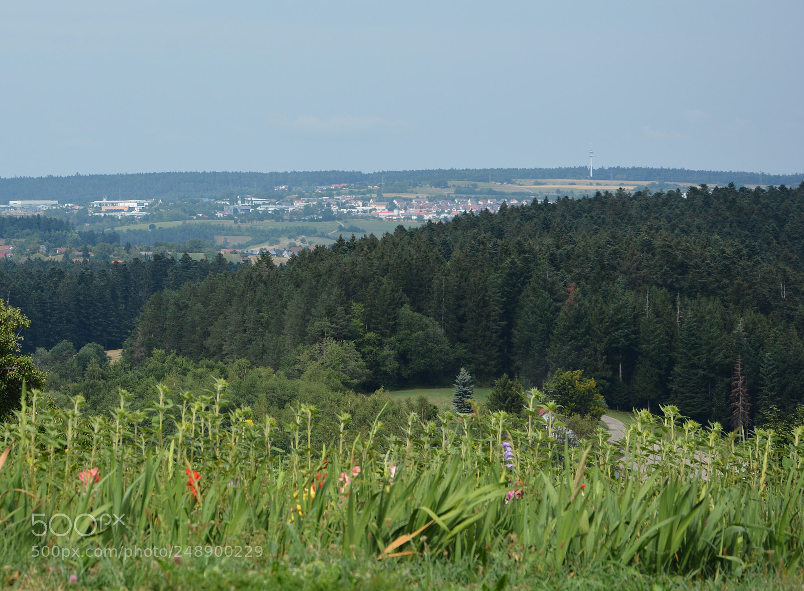 Nikon D7100 sample photo. Schwarzwald... photography