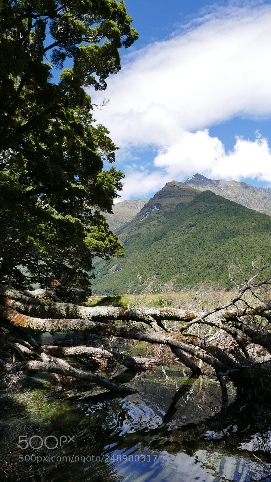 Panasonic Lumix DMC-LX100 sample photo. Matukituki river, mount aspiring photography