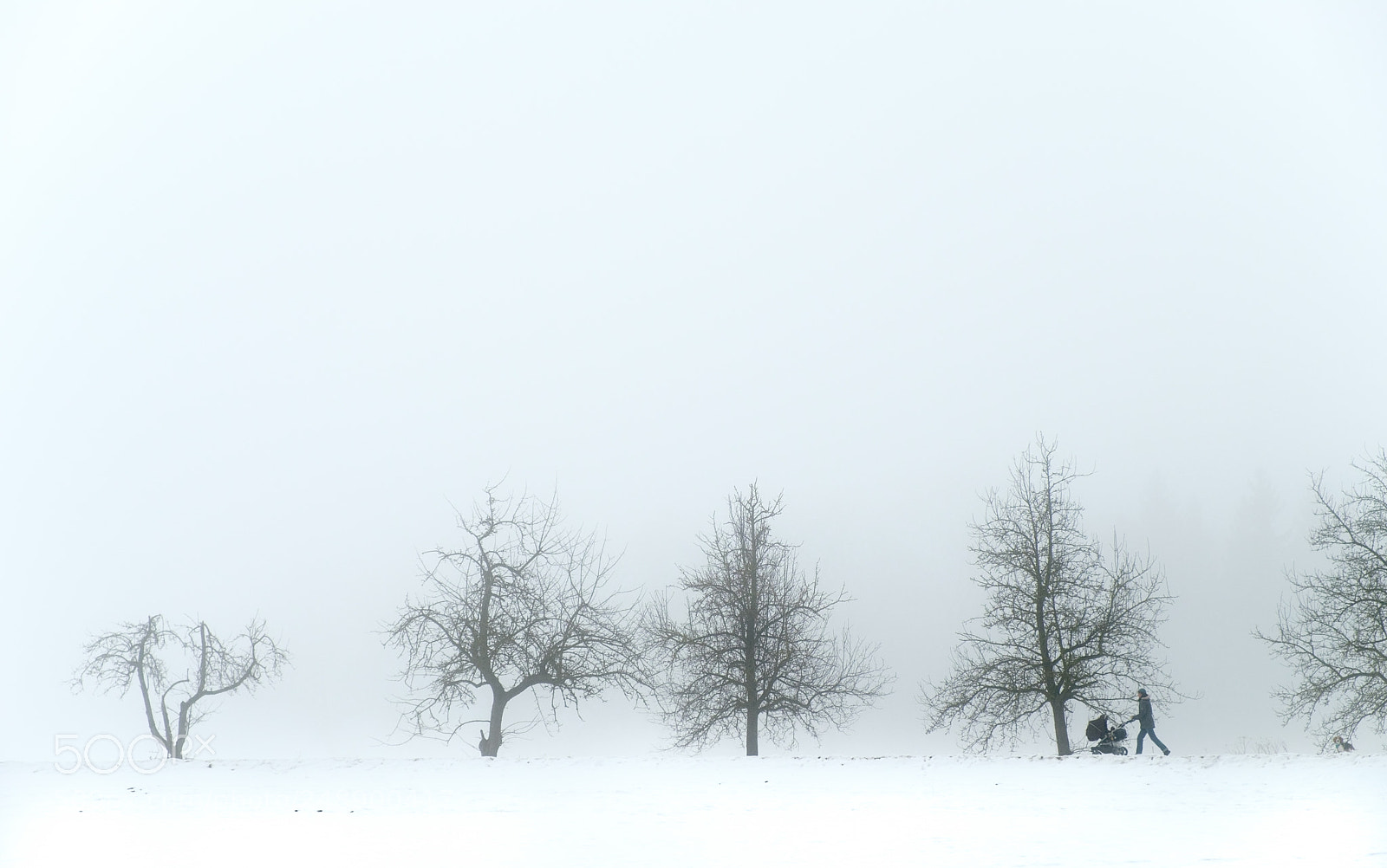 Fujifilm X-T2 sample photo. Misty morning photography
