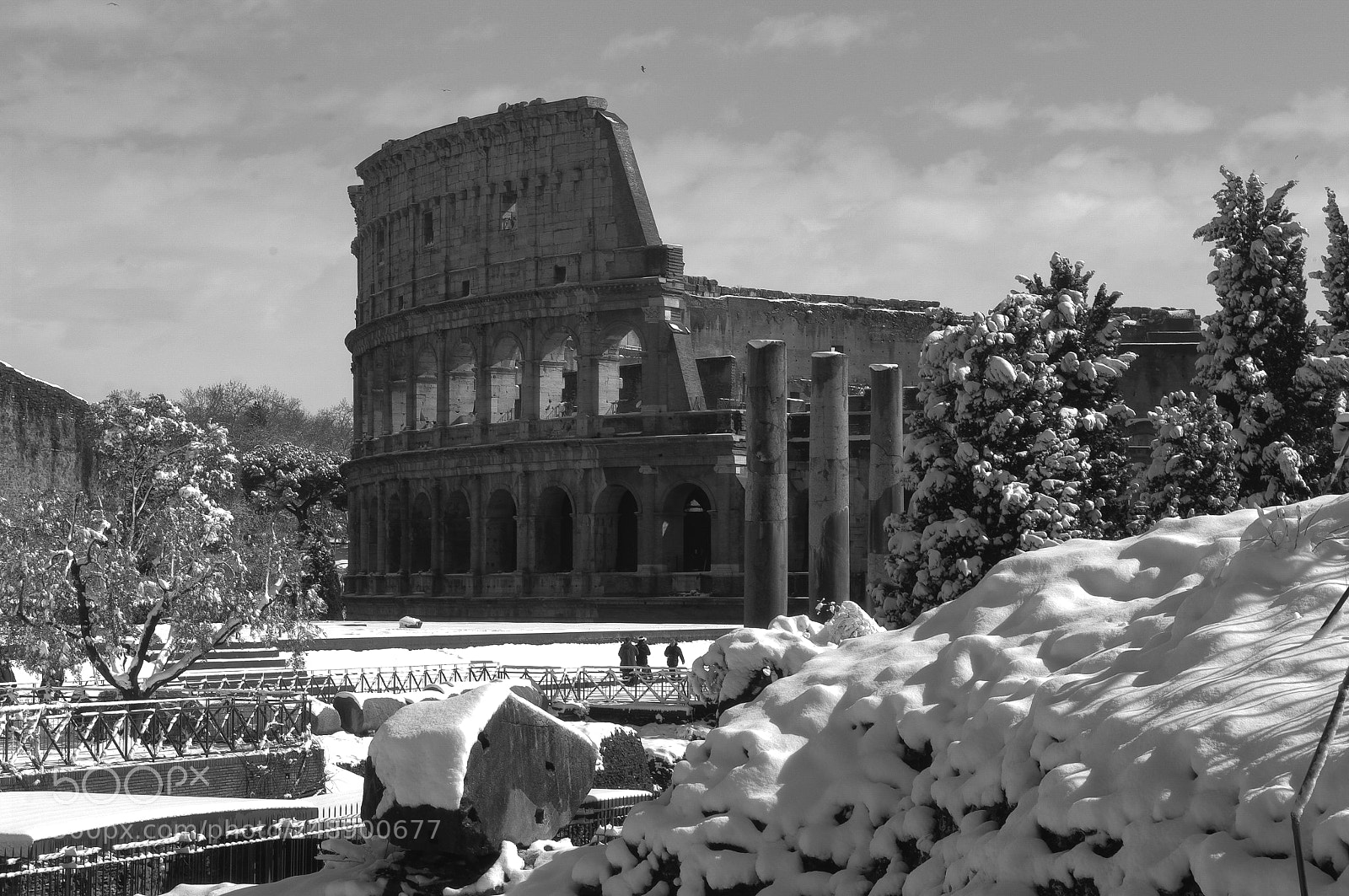 Pentax K20D sample photo. Untitled photography