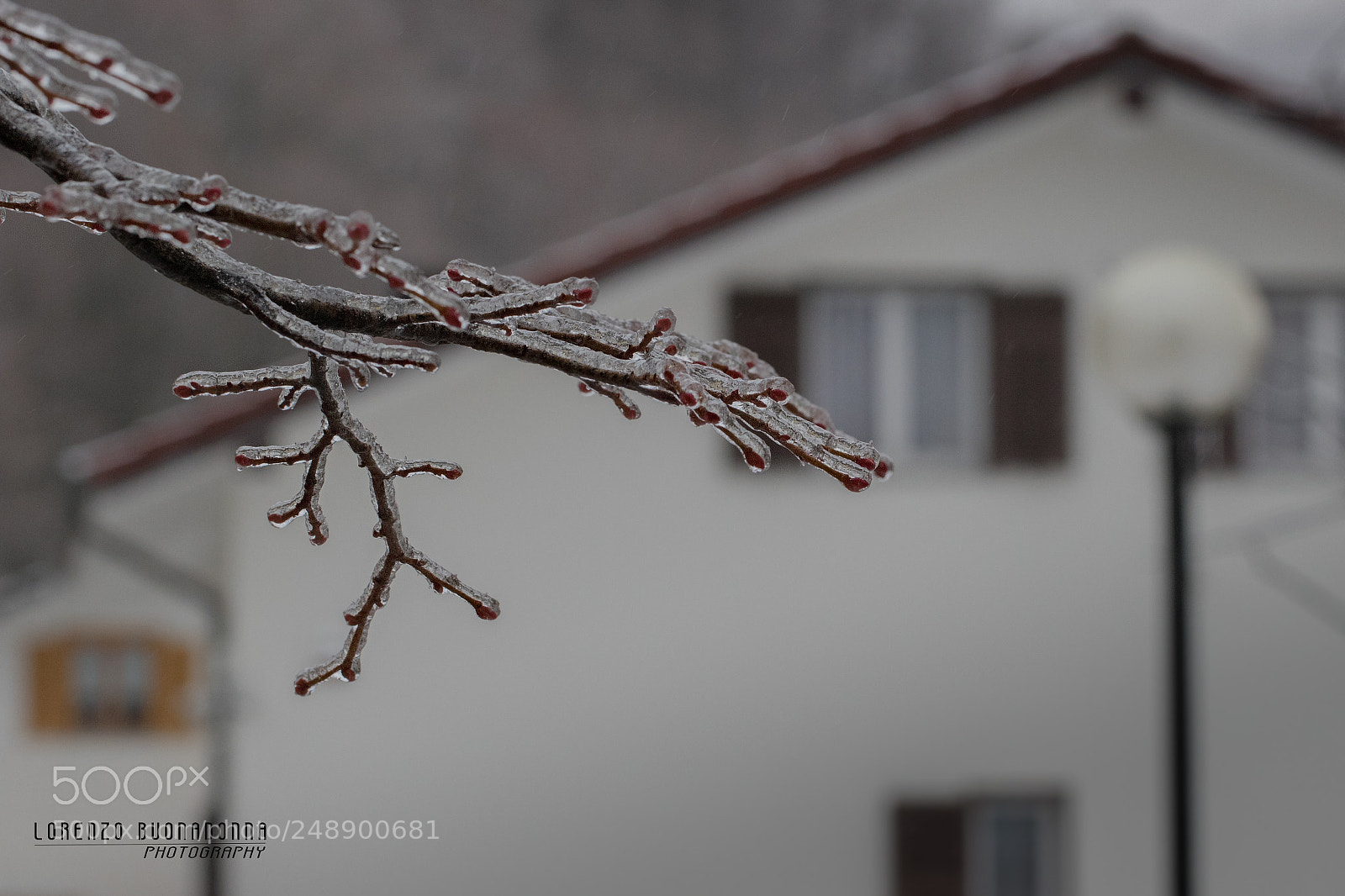Canon EOS 7D Mark II sample photo. Galaverna 4 (torriglia, ge) photography