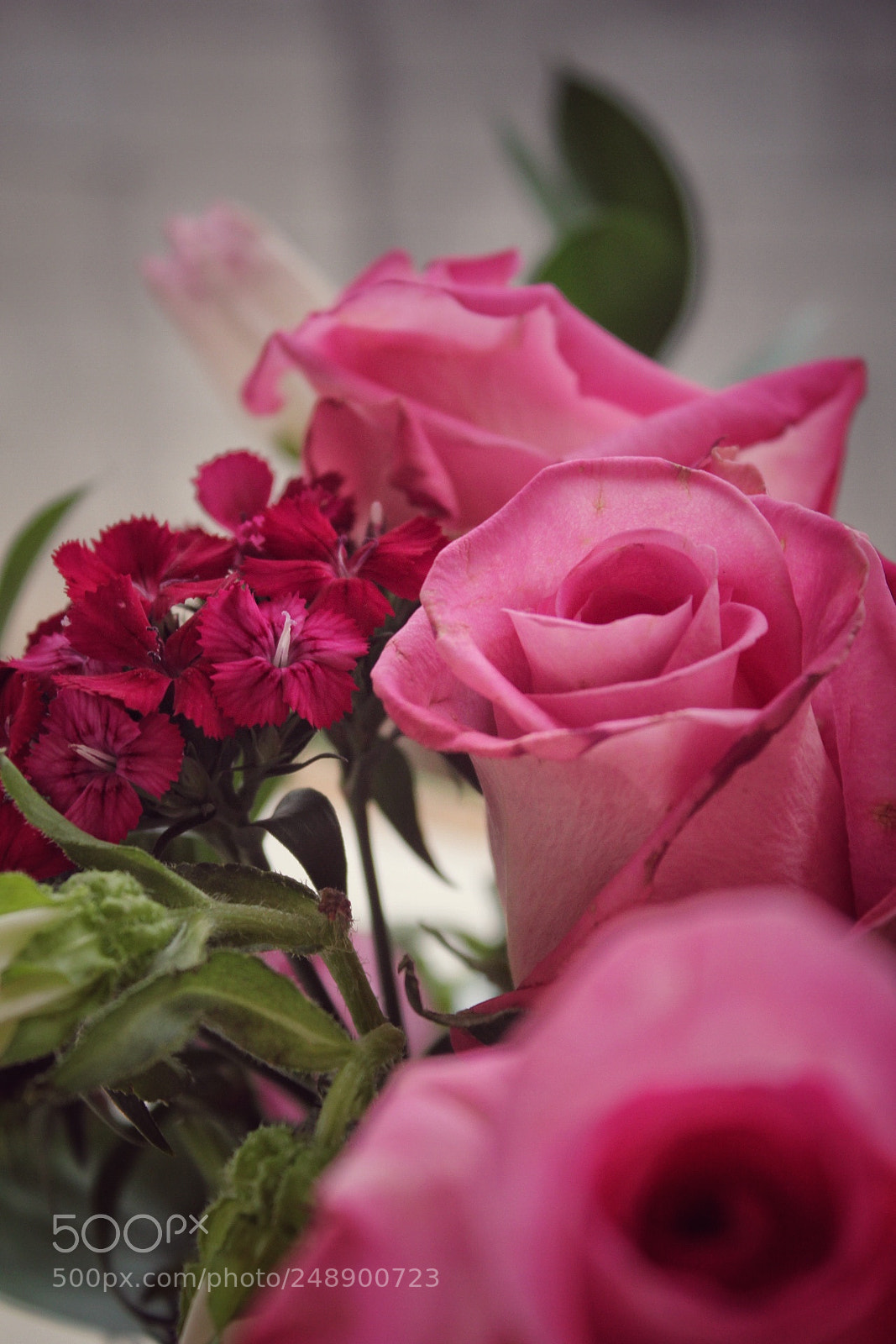 Canon EOS 1300D (EOS Rebel T6 / EOS Kiss X80) sample photo. Lovely day:) photography