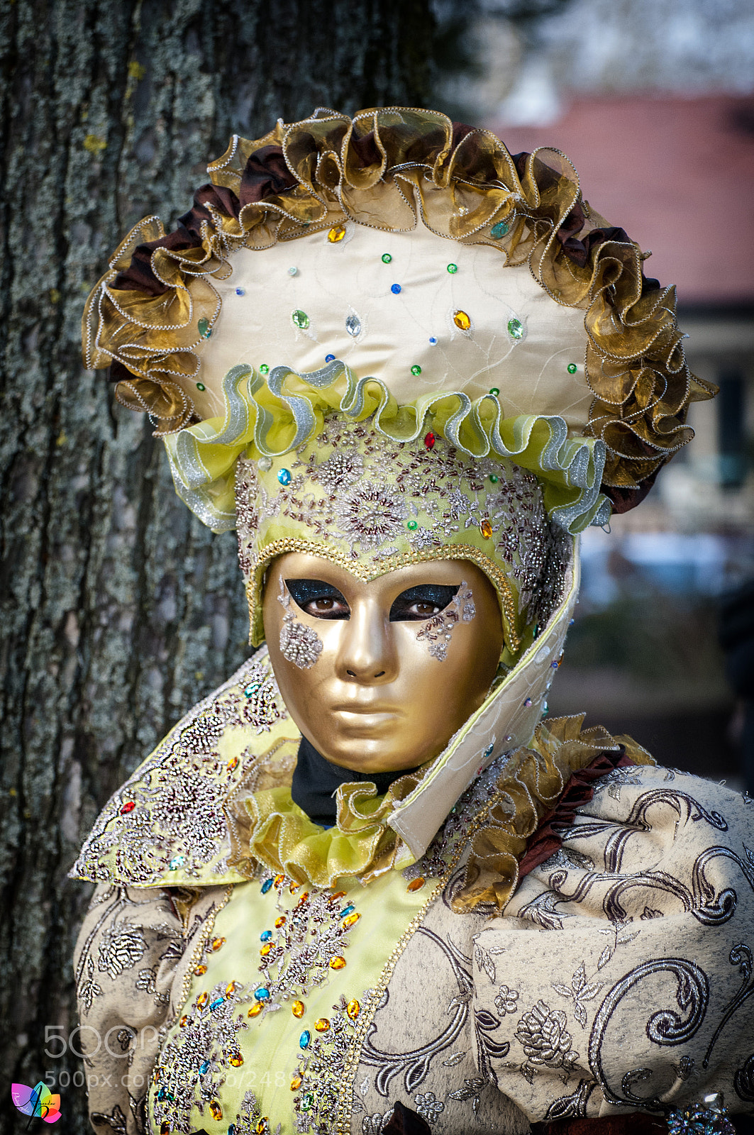 Nikon D300 sample photo. Carnaval vénitien d'annecy photography