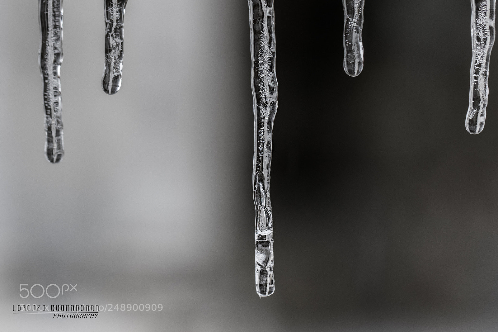 Canon EOS 7D Mark II sample photo. Galaverna 5 (torriglia ge) photography