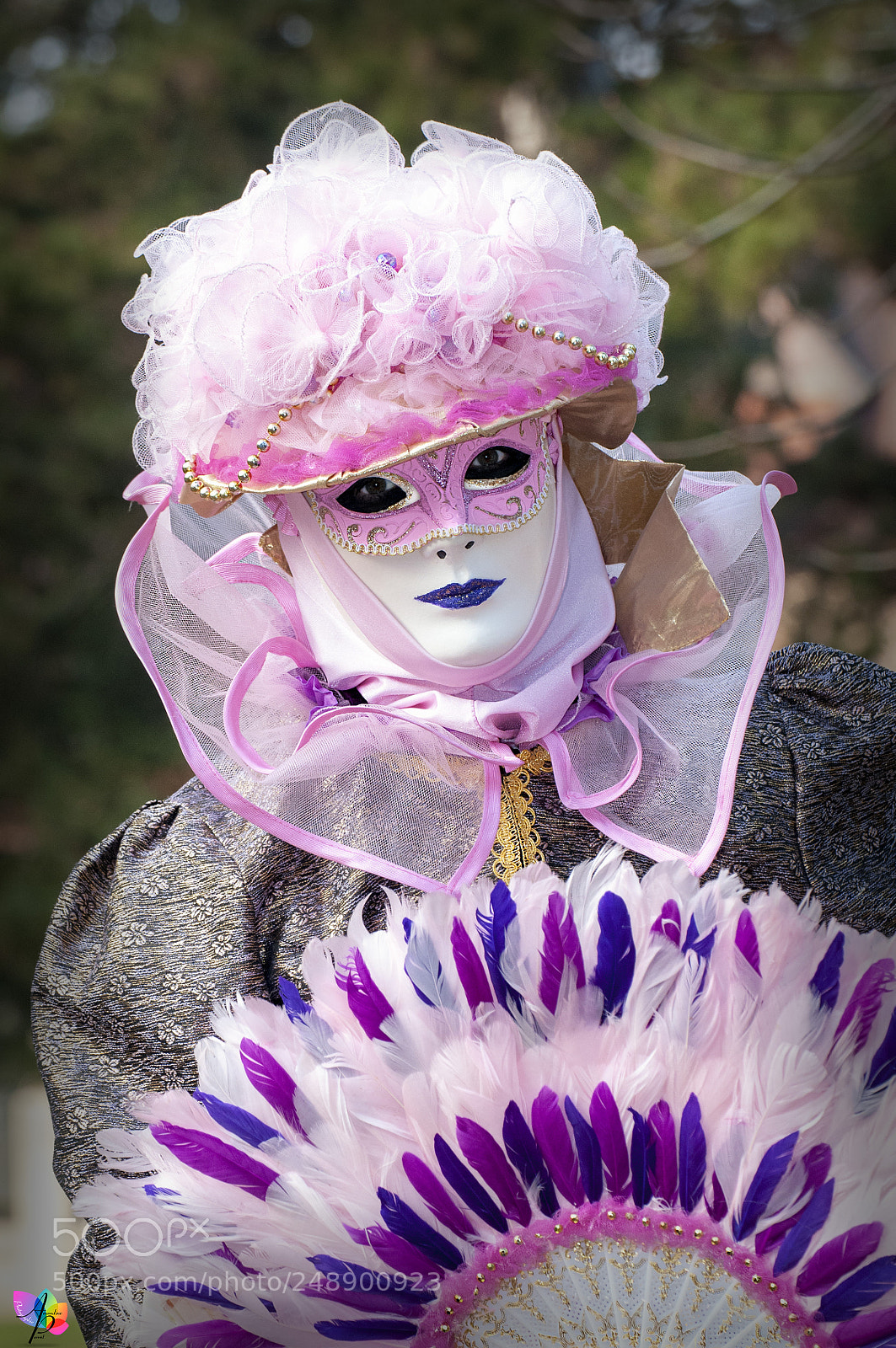 Nikon D300 sample photo. Carnaval vénitien d'annecy photography