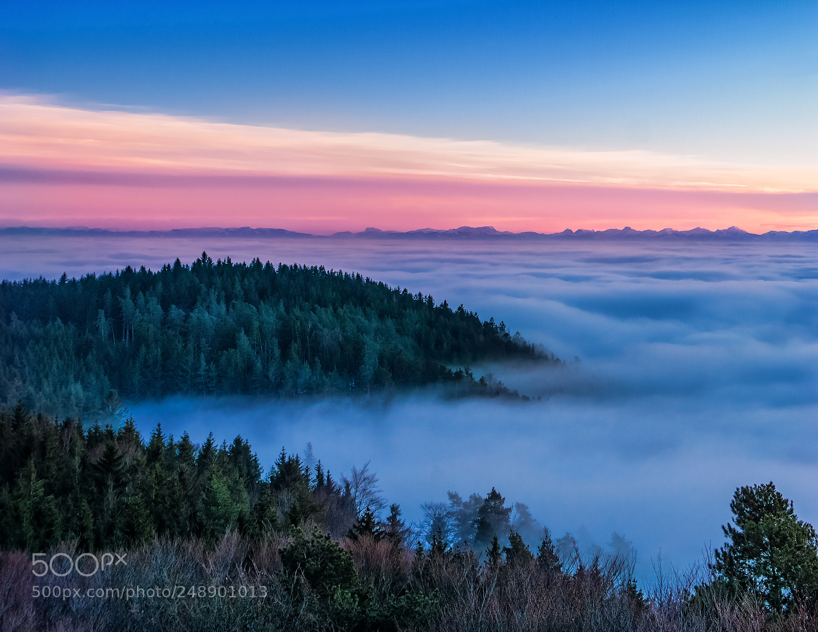 Sony a6000 sample photo. Colourful inversion photography