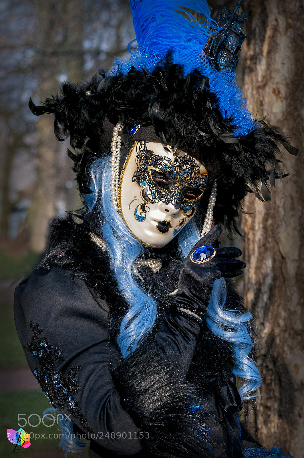 Nikon D300 sample photo. Carnaval vénitien d'annecy photography