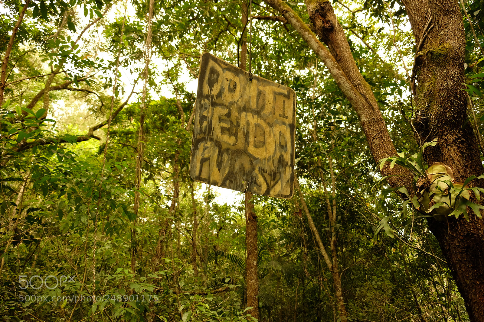 Fujifilm X-T1 sample photo. Human versus nature photography