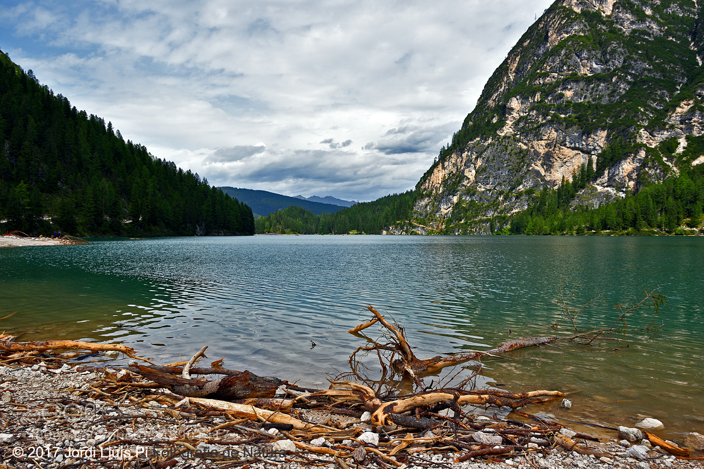 Nikon D5600 sample photo. Lake / llac photography