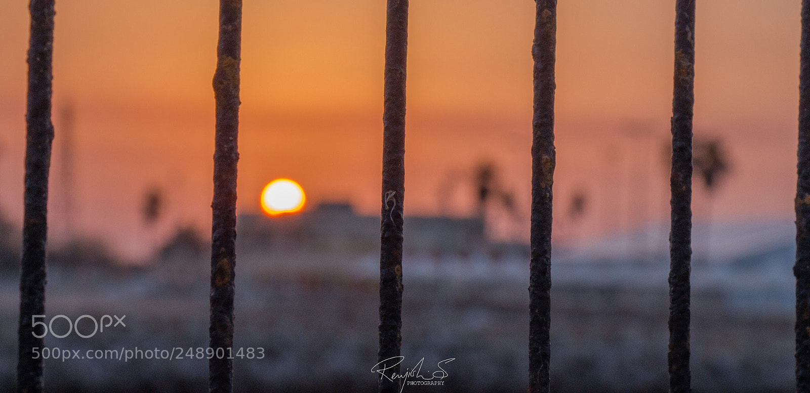 Canon EOS 700D (EOS Rebel T5i / EOS Kiss X7i) sample photo. Morning shot photography
