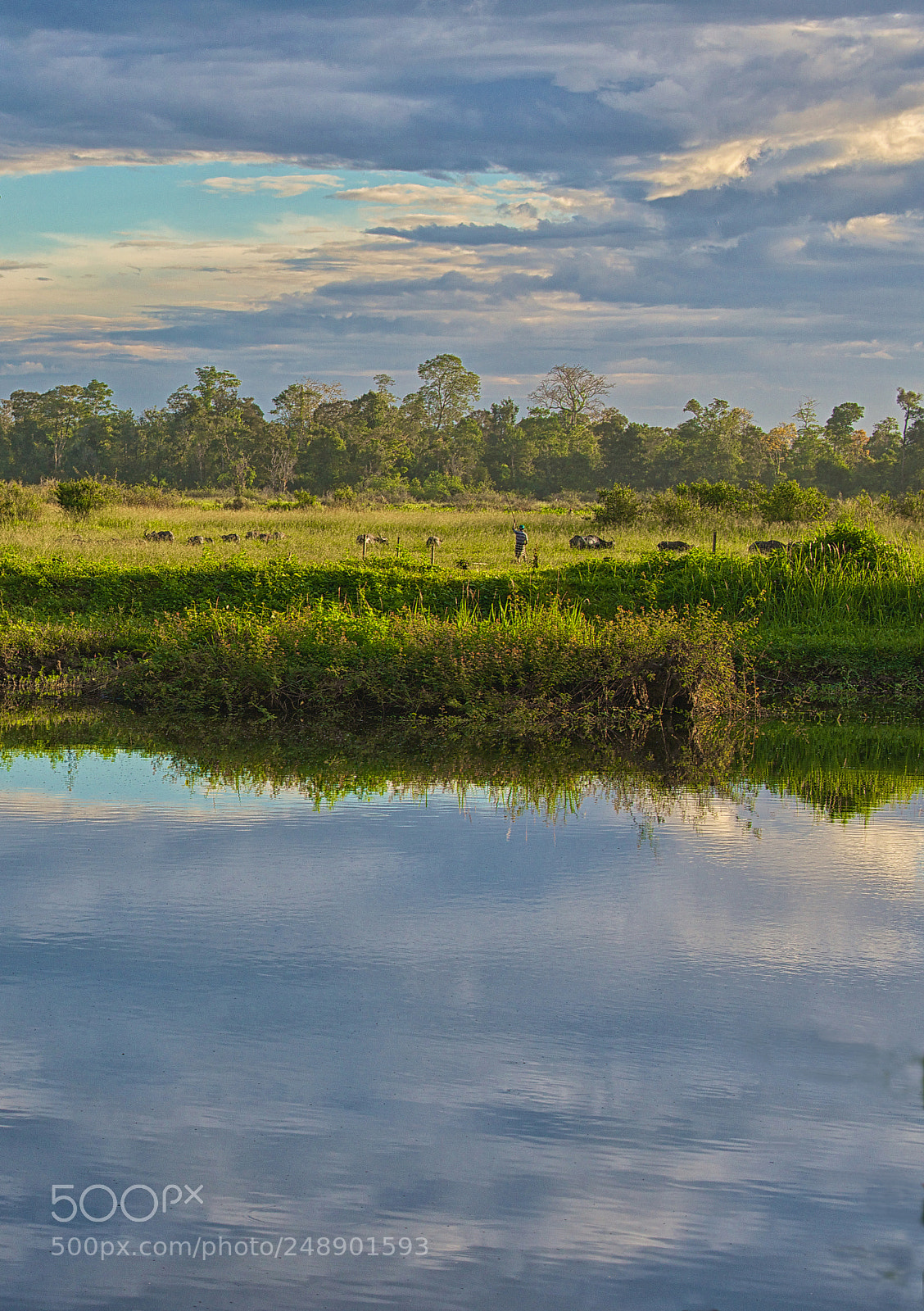 Nikon D800 sample photo. Between photography