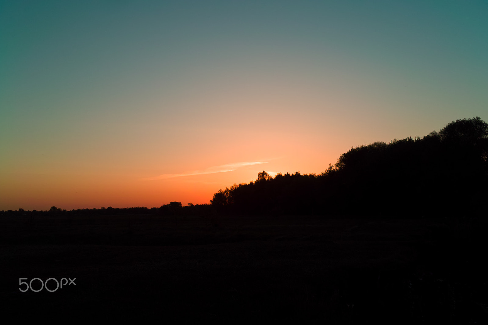 Sigma DP2 sample photo. Desna sunrise photography