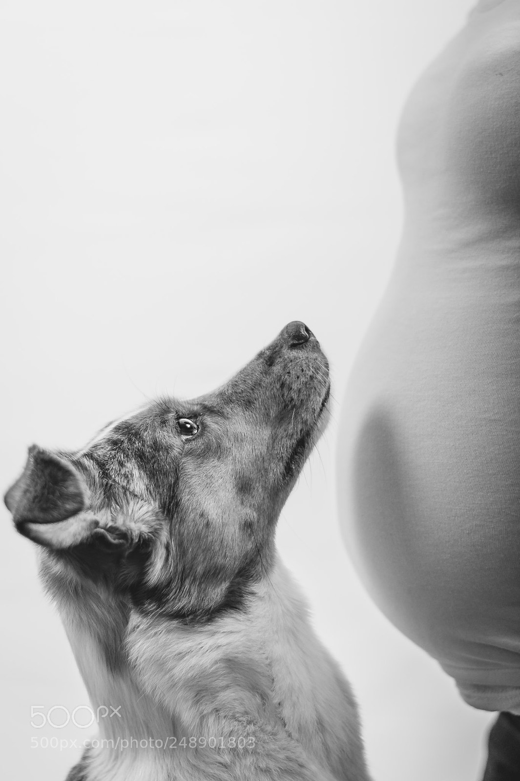 Nikon D7200 sample photo. Pregnancy shoot photography