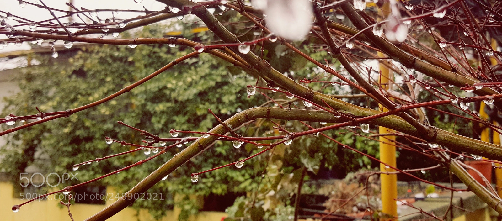 Samsung Galaxy Note5 sample photo. Untitled photography