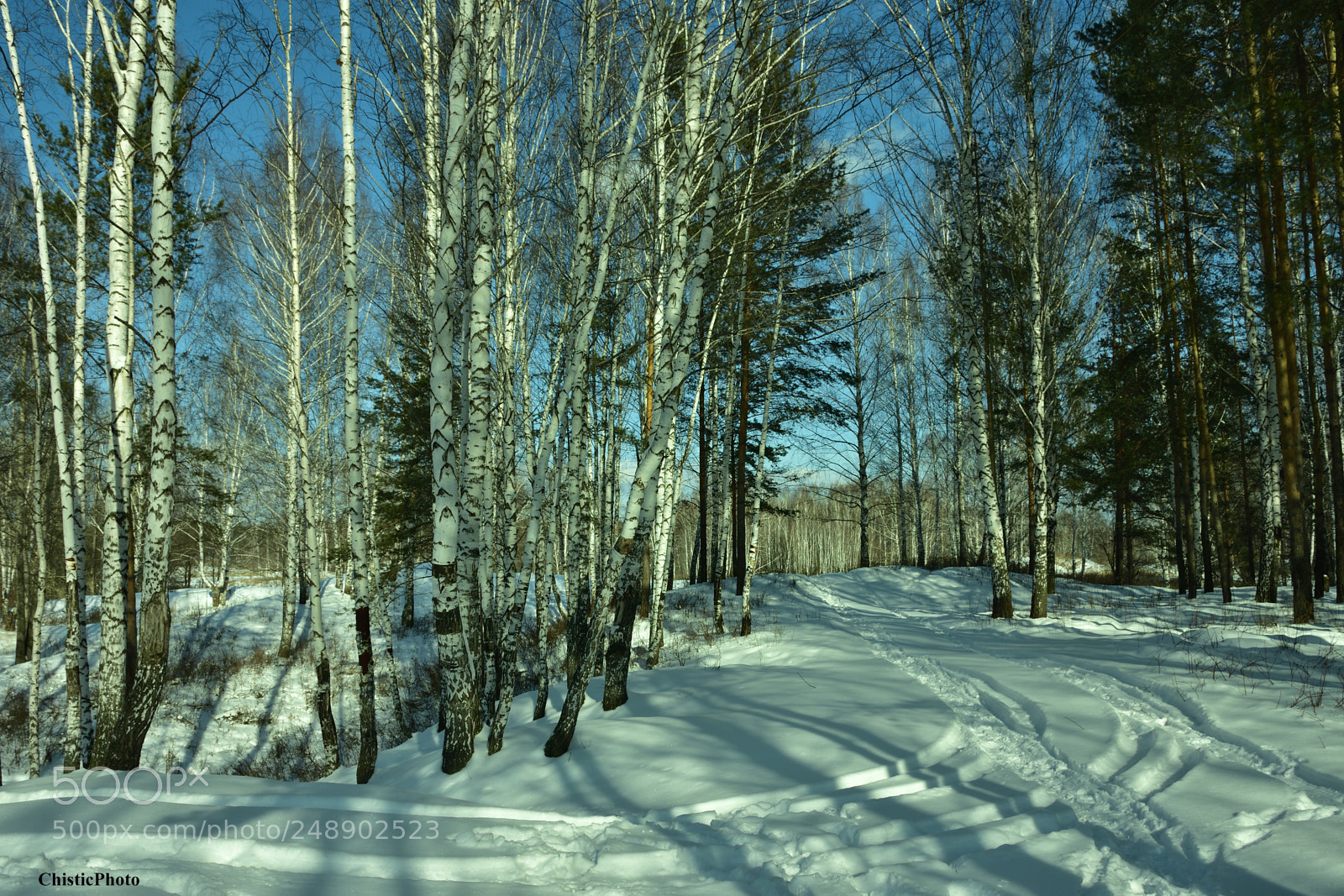 Nikon D7200 sample photo. Along the way photography