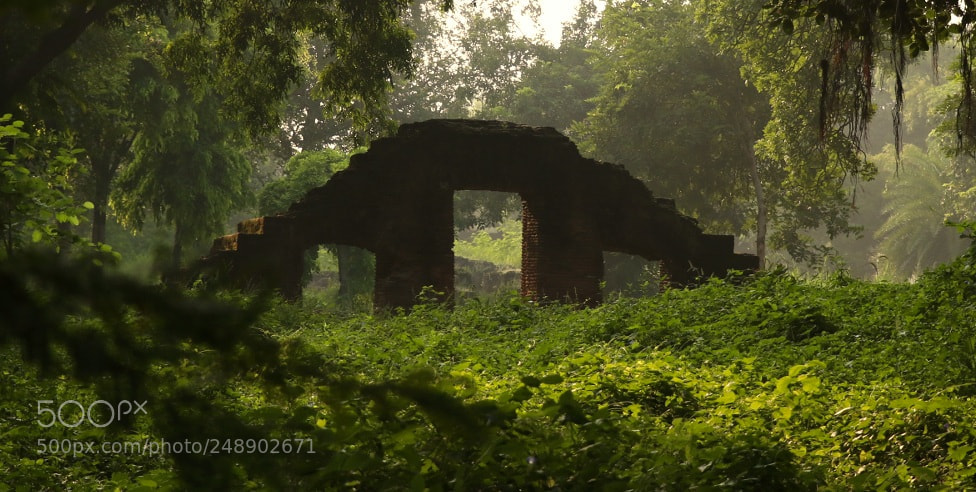 Canon EOS 80D sample photo. Untitled photography