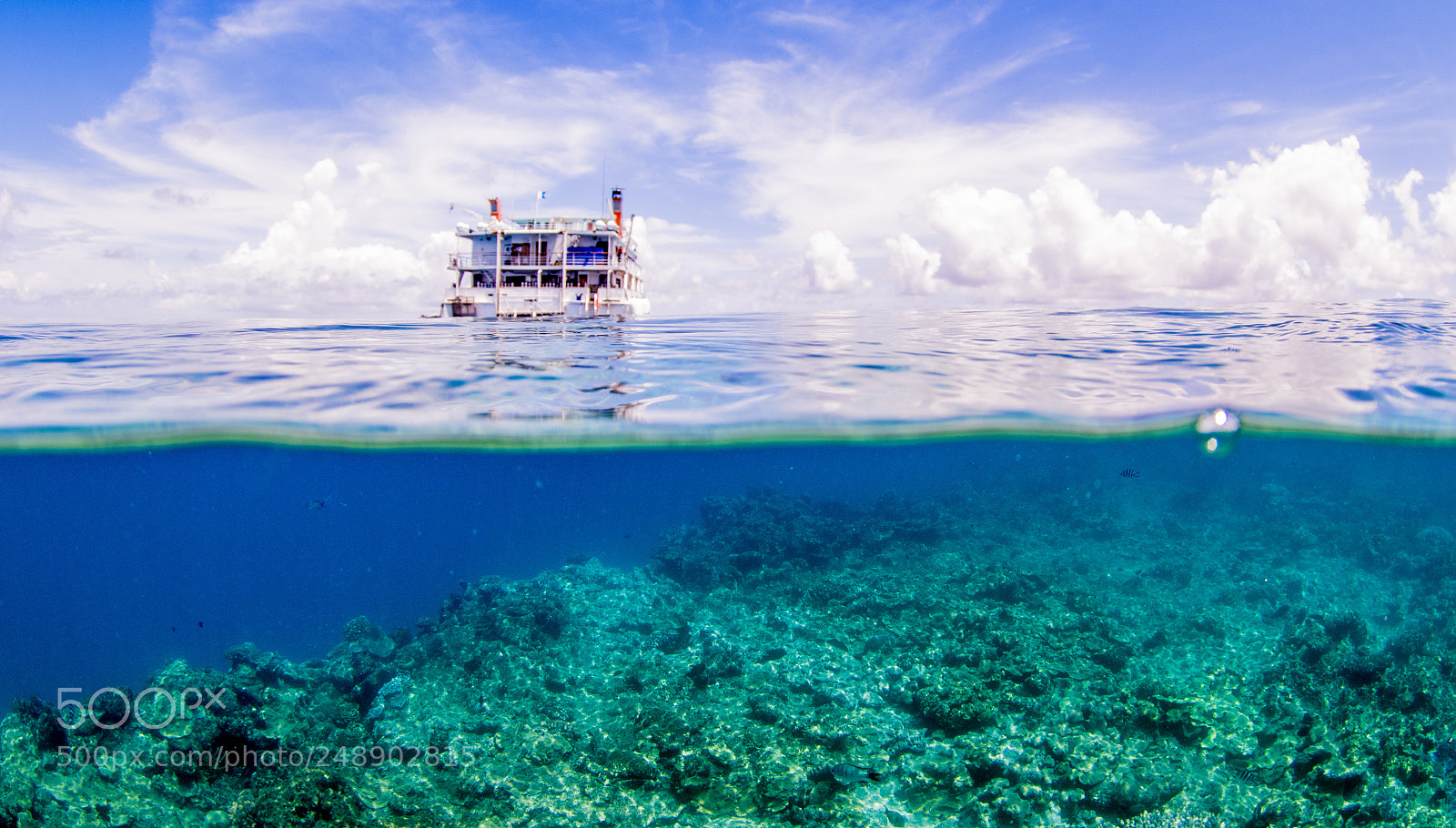 Canon EOS 7D Mark II sample photo. Split water photo greet photography