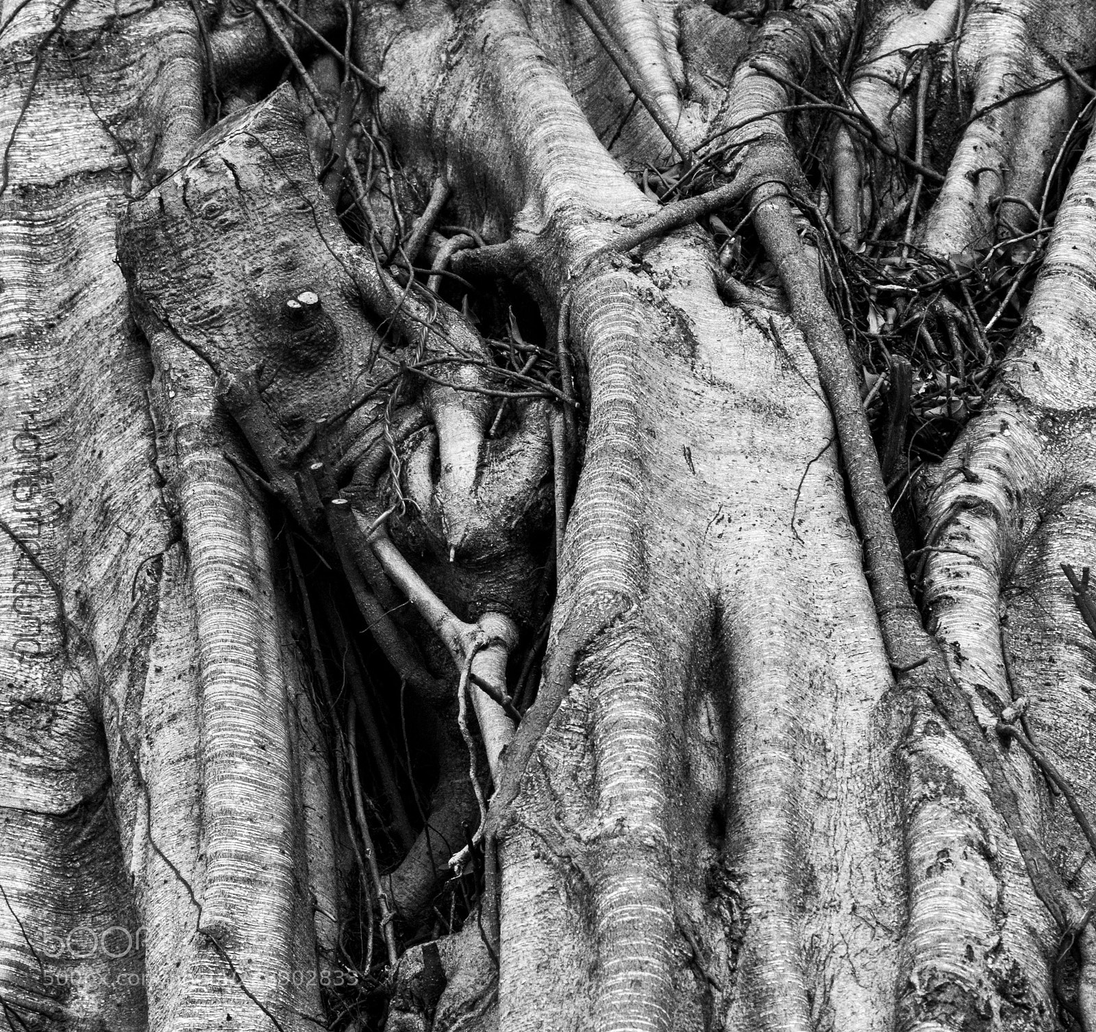 Panasonic Lumix DMC-GX7 sample photo. Secret trip photography