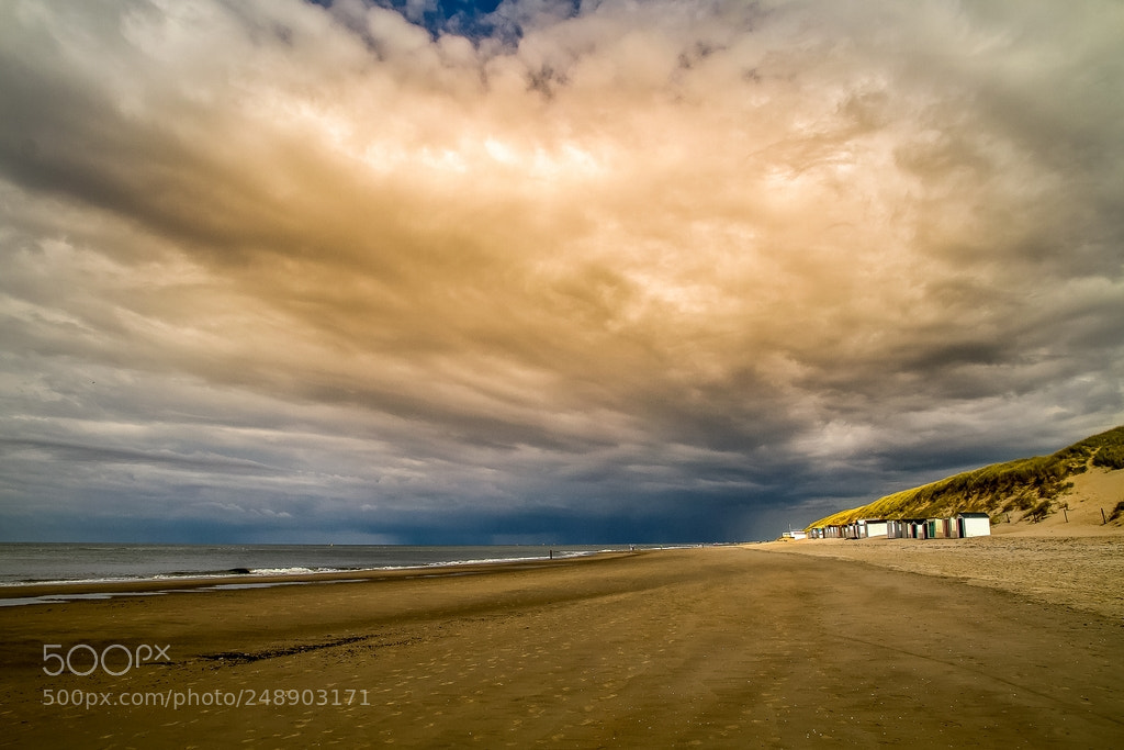 Canon EOS 7D sample photo. Texel photography