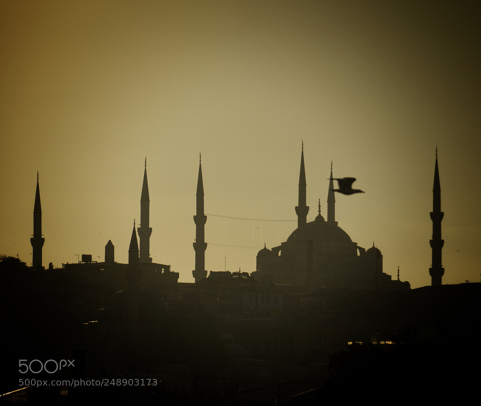 Sony SLT-A65 (SLT-A65V) sample photo. Blue mosque photography