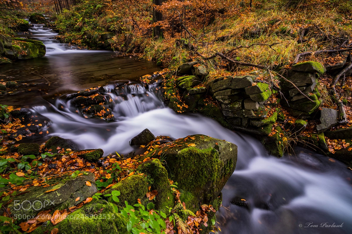 Nikon D600 sample photo. View of autumn waterfalls photography