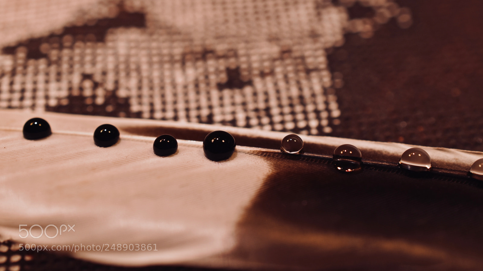 Nikon D5600 sample photo. **** photography
