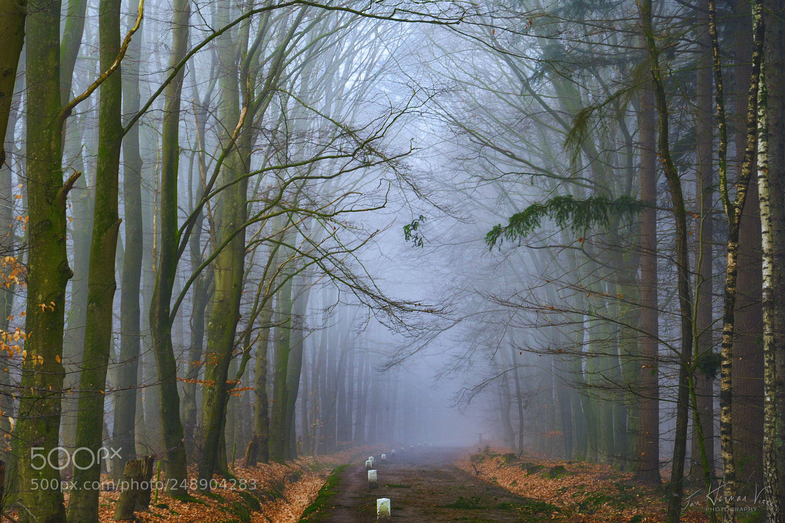Sony a6000 sample photo. Misty morning photography