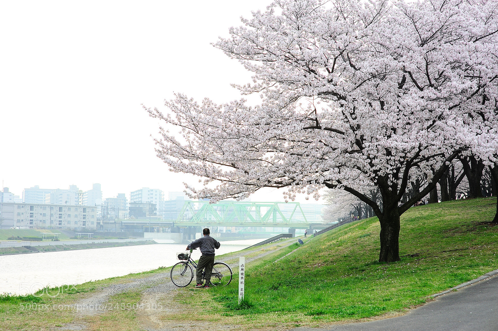 Nikon D700 sample photo. Untitled photography