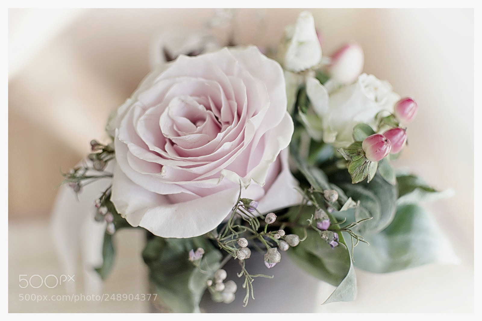 Nikon D3100 sample photo. Pink photography