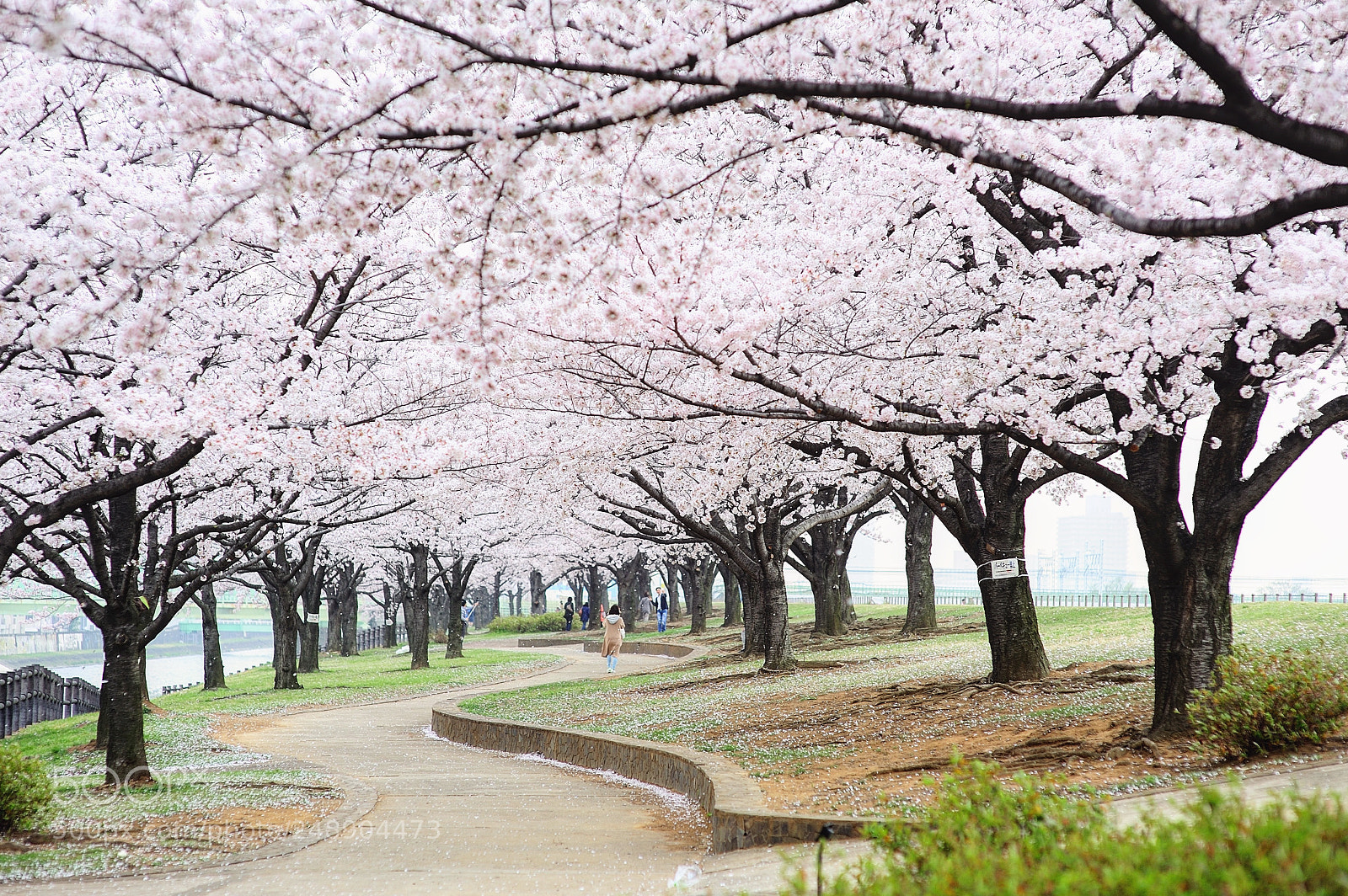 Nikon D700 sample photo. Untitled photography