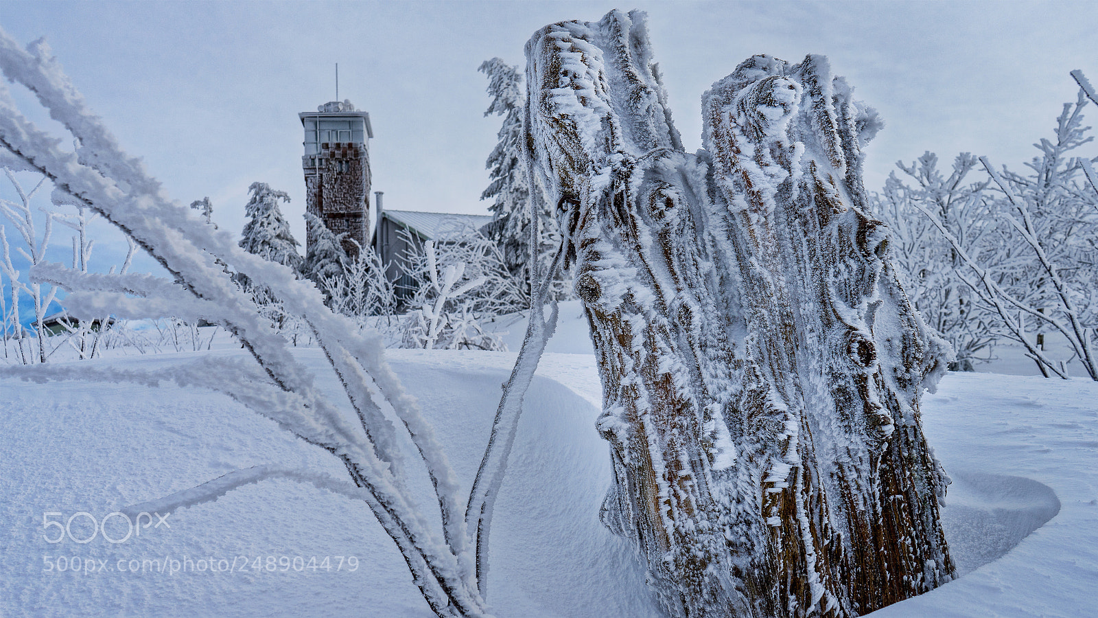 Sony a7 II sample photo. Hornisgrinde photography