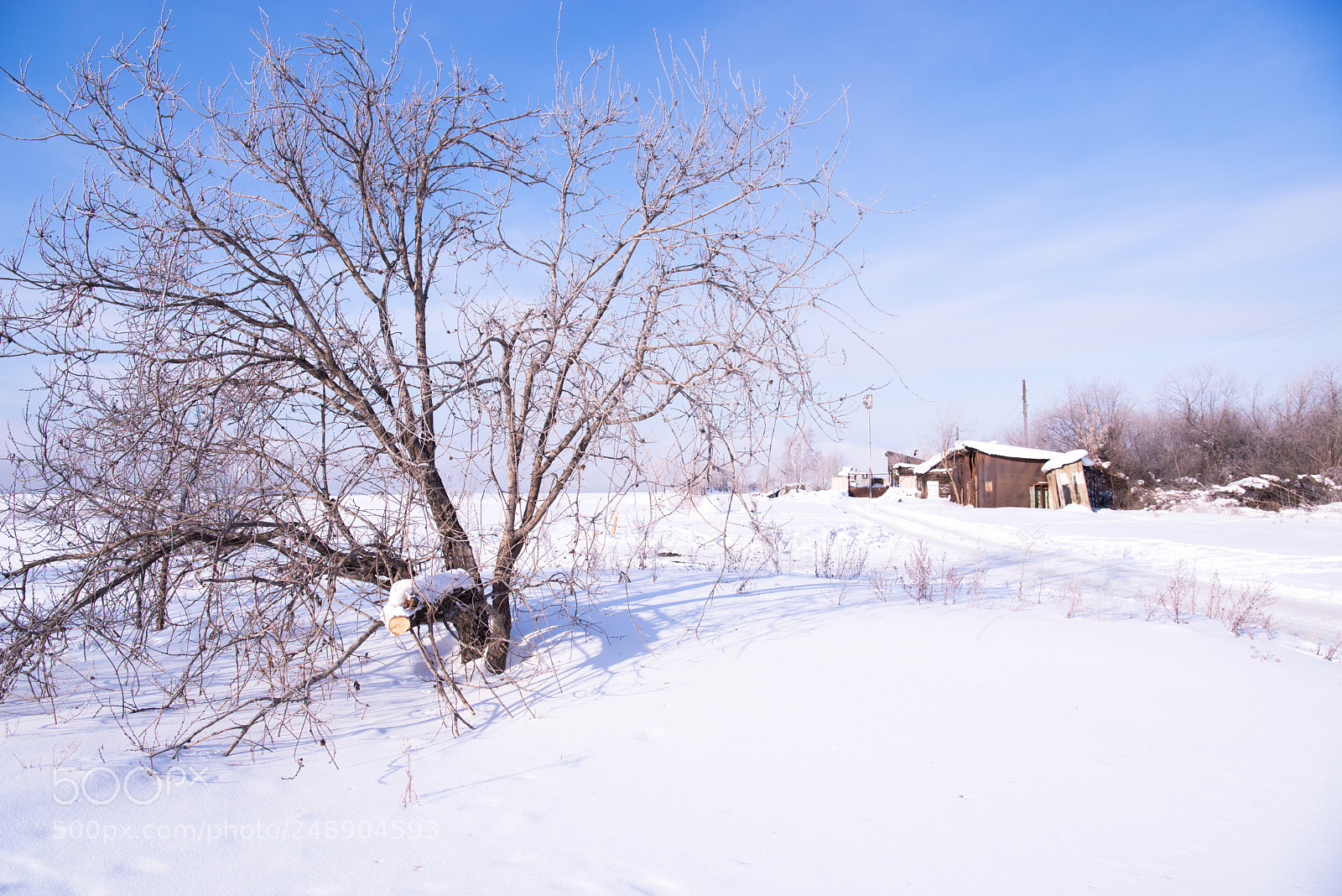 Nikon D610 sample photo. Hello, irkutsk photography