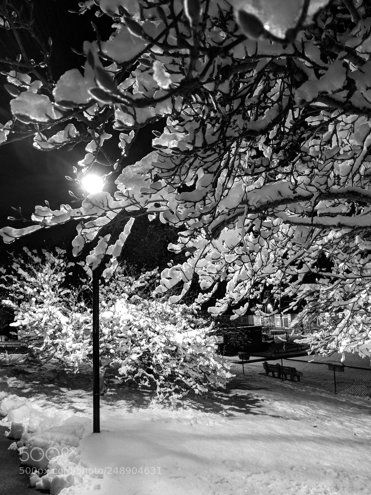 Google Pixel 2 sample photo. Snow photography