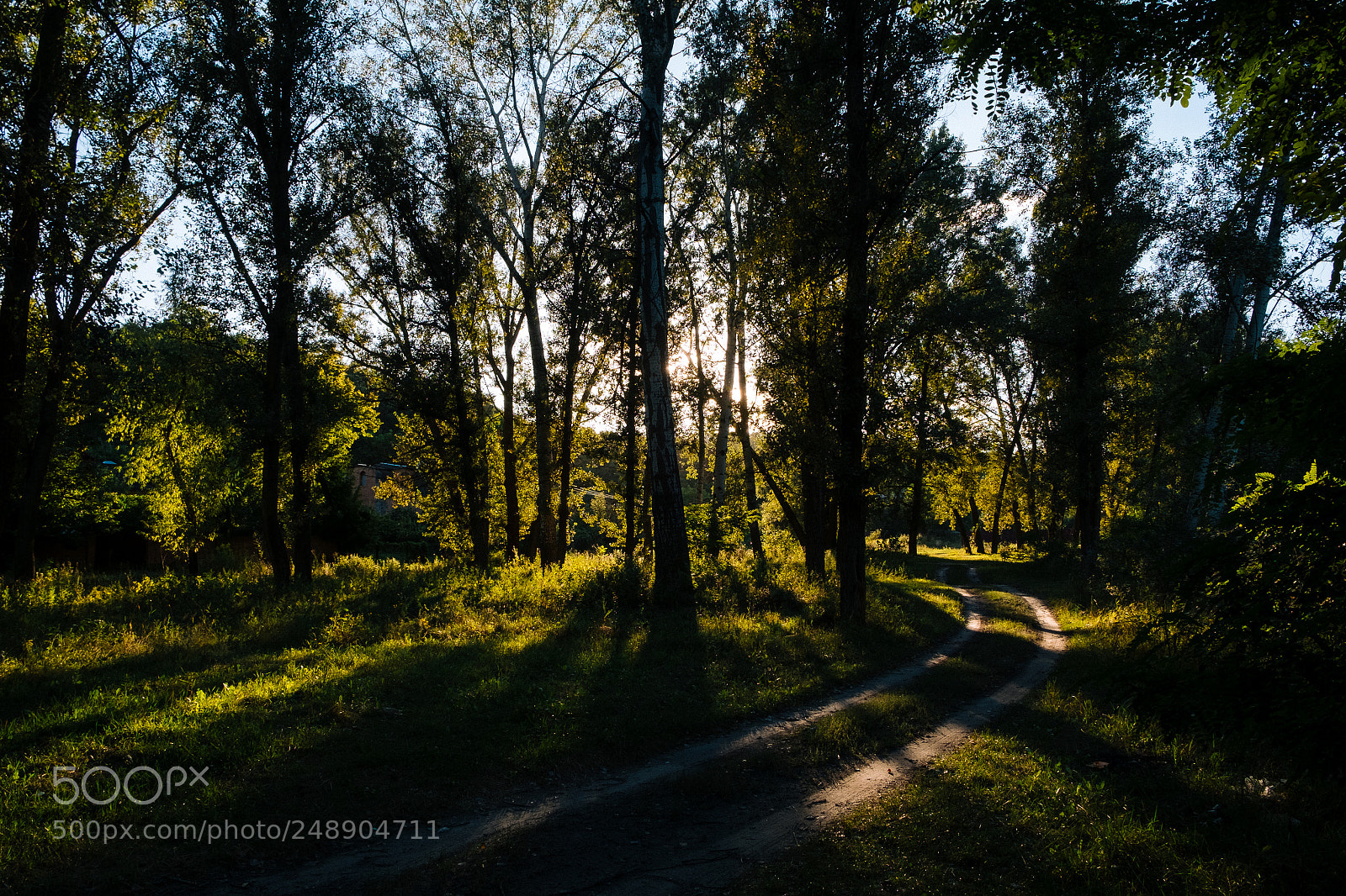 Fujifilm X-E1 sample photo. Poltava rural photography