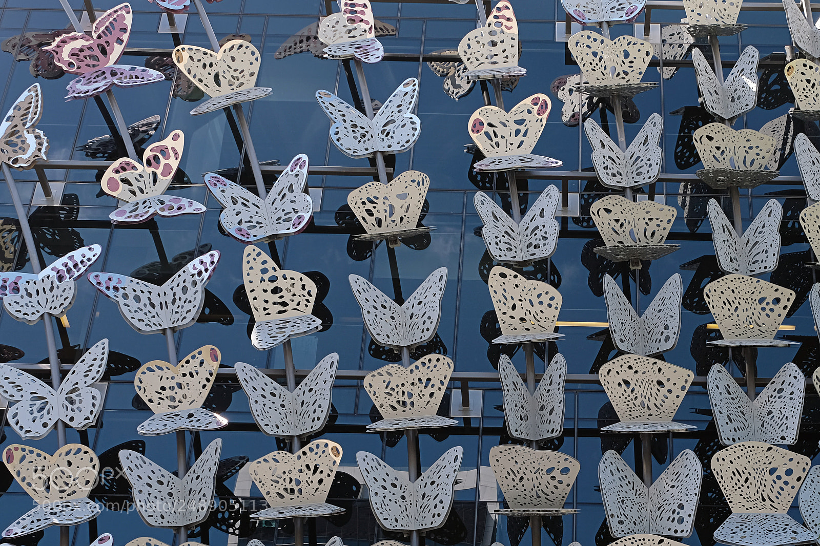 Fujifilm X-T2 sample photo. Butterfly photography