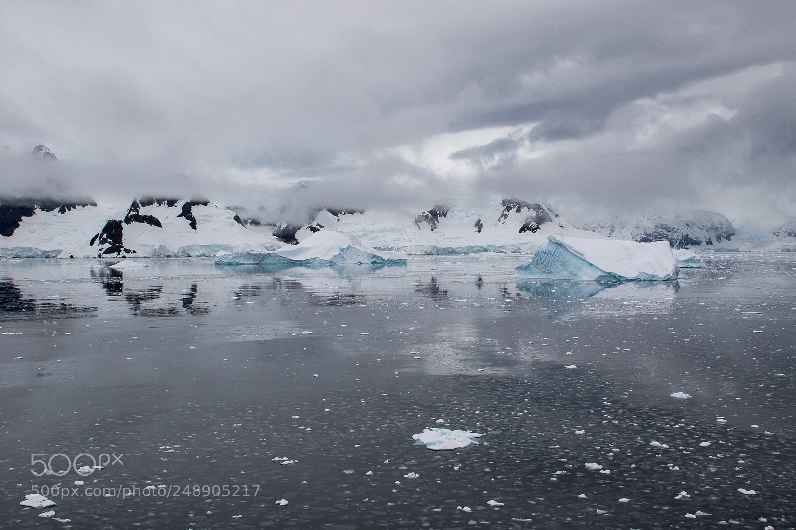 Canon EOS 7D Mark II sample photo. Cold photography