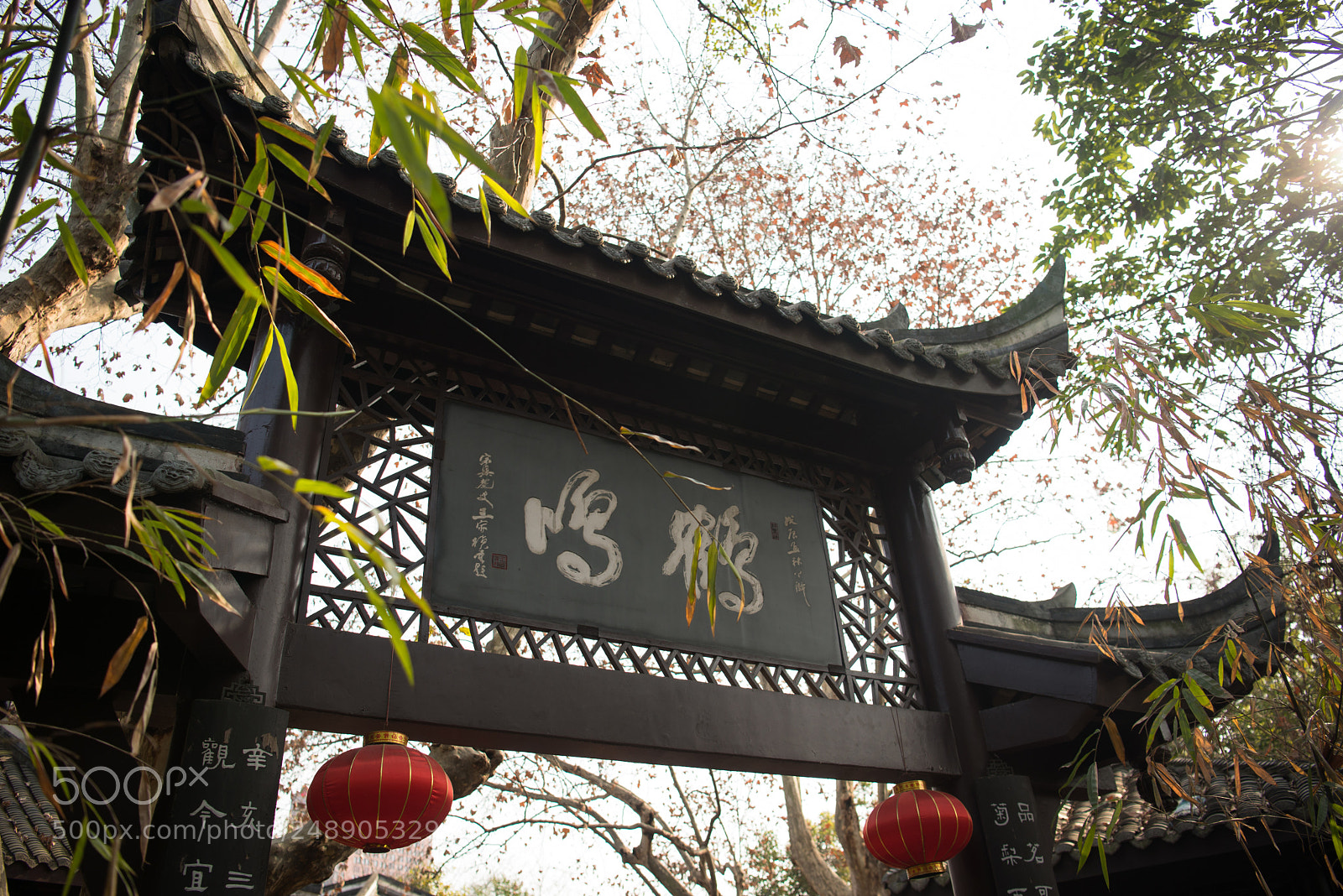 Nikon D610 sample photo. Chengdu photography