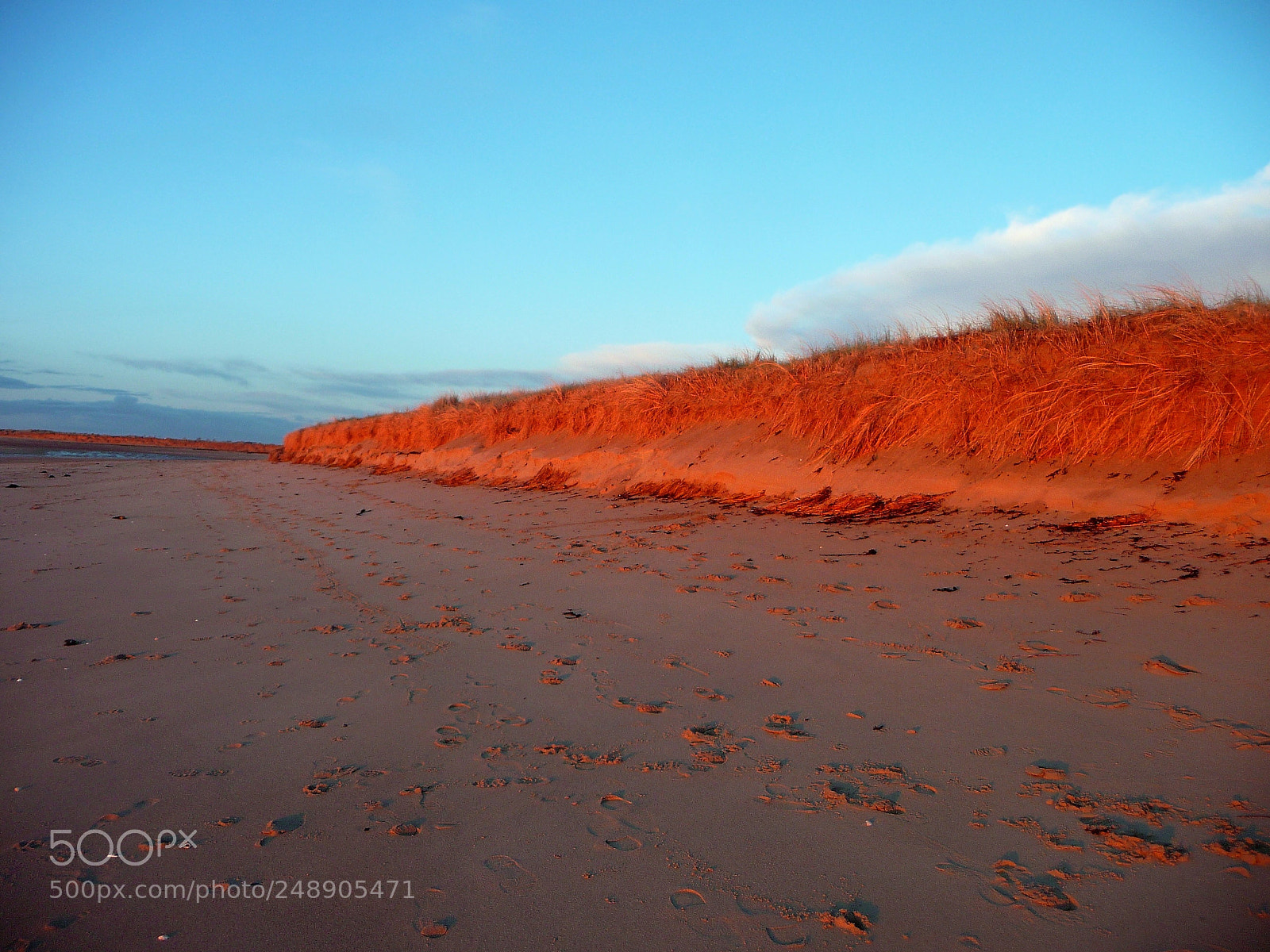 Panasonic Lumix DMC-TZ5 sample photo. Sunrise at the beach photography