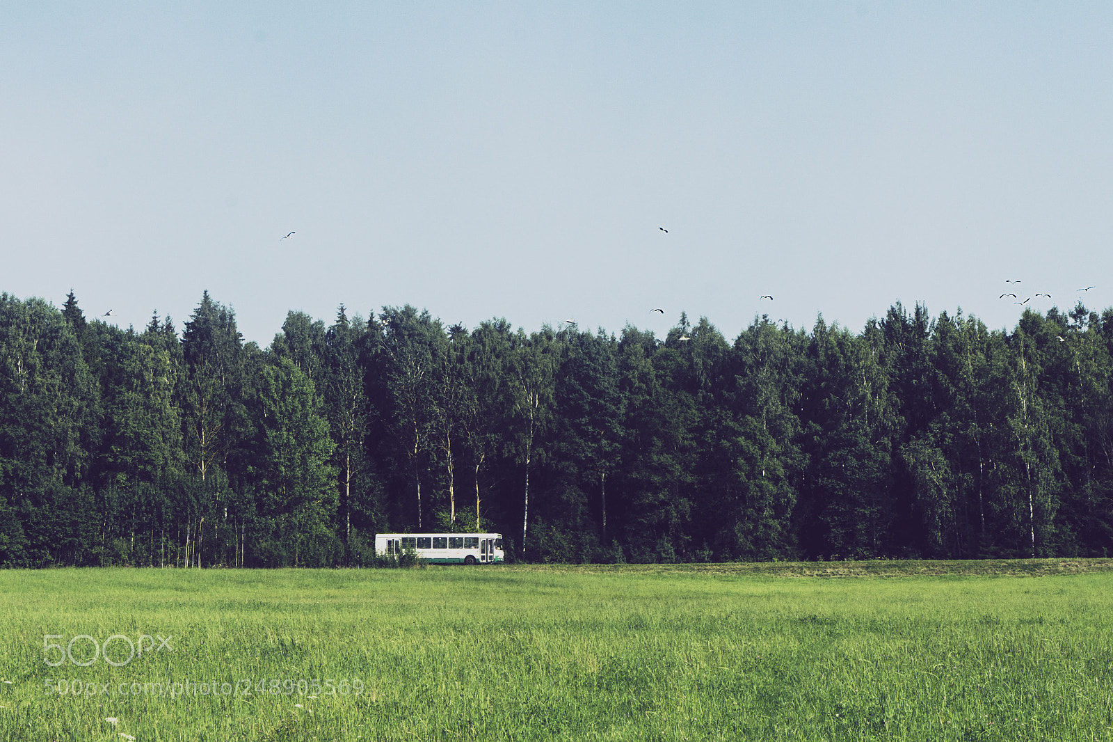 Sony a6000 sample photo. Between town and countryside photography